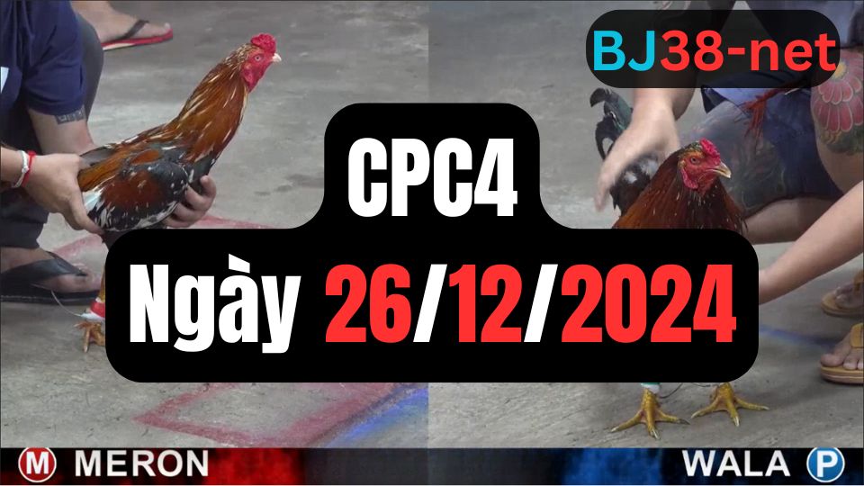 Xem đá gà thomo hôm nay sảnh CPC4 26-12-2024